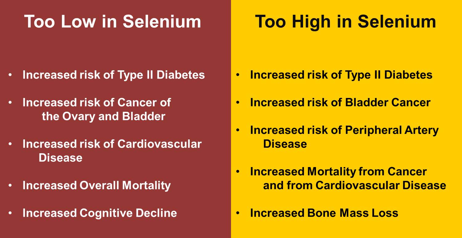 Gerald P. Murphy Cancer Foundation
